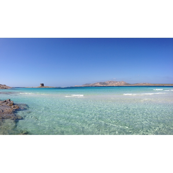 Picture Italy Sardinia Capo del Falcone 2015-06 69 - Center Capo del Falcone