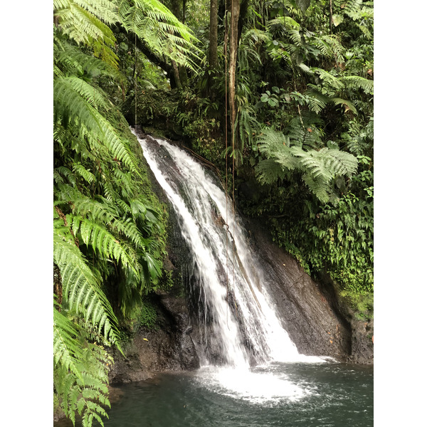 Picture Guadeloupe Cascade aux ecrevisses 2021-02 11 - Journey Cascade aux ecrevisses