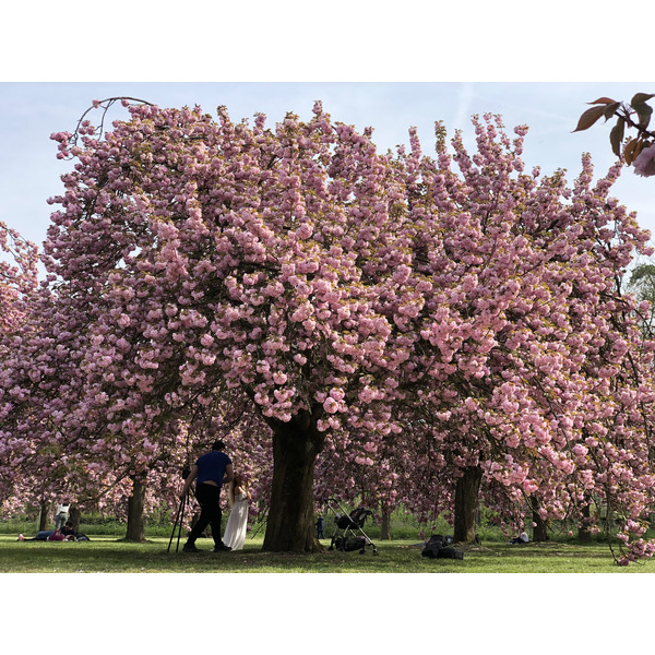 Picture France Parc de Sceaux 2019-04 37 - Tour Parc de Sceaux