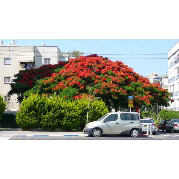 Picture Israel Tel Aviv Jabotinsky Street 2007-06 6 - Around Jabotinsky Street