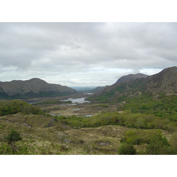 Picture Ireland Kerry Killarney National Park 2004-05 47 - Tour Killarney National Park