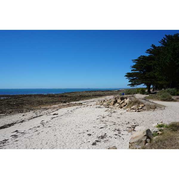 Picture France La Trinite-sur-Mer 2016-08 24 - Discovery La Trinite-sur-Mer