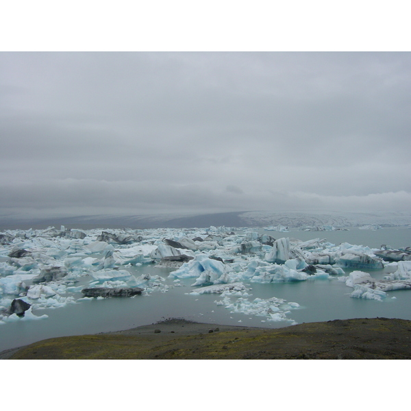 Picture Iceland Jokulsarlon 2003-06 28 - Around Jokulsarlon