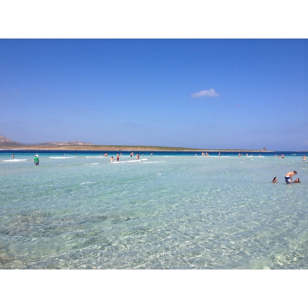 Picture Italy Sardinia Capo del Falcone 2015-06 44 - Journey Capo del Falcone