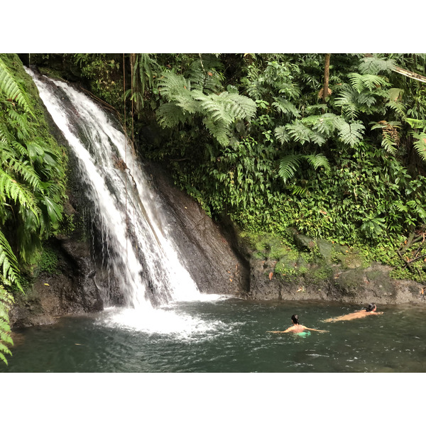 Picture Guadeloupe Cascade aux ecrevisses 2021-02 9 - Discovery Cascade aux ecrevisses