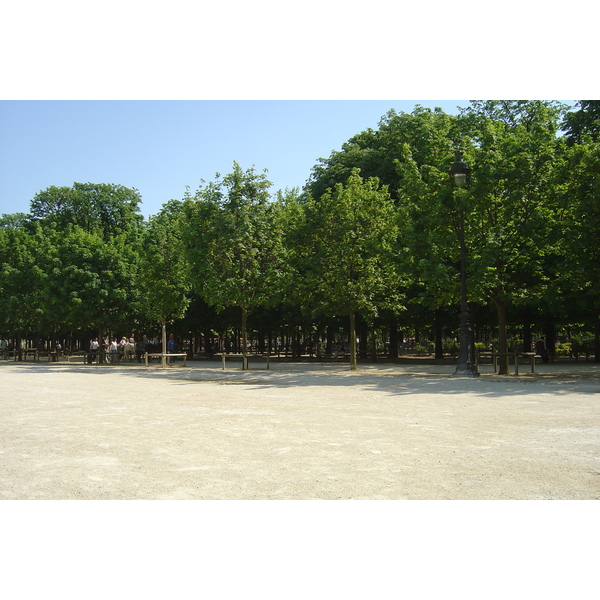 Picture France Paris Garden of Tuileries 2007-05 329 - Tours Garden of Tuileries