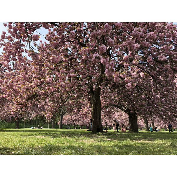 Picture France Parc de Sceaux 2019-04 47 - History Parc de Sceaux