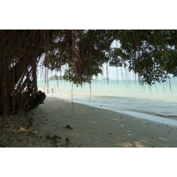 Picture Thailand Ko Chang Klong Prao beach 2011-02 61 - Tours Klong Prao beach