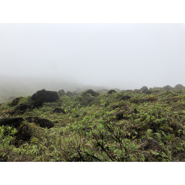 Picture Guadeloupe La Grande Soufriere 2021-02 80 - Tour La Grande Soufriere