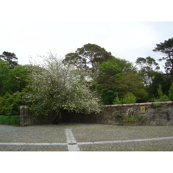 Picture Ireland Kerry Killarney National Park Muckross House 2004-05 43 - Tours Muckross House