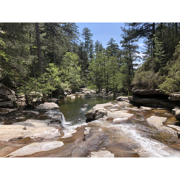 Picture France Corsica Aitone Forest 2021-06 27 - Center Aitone Forest