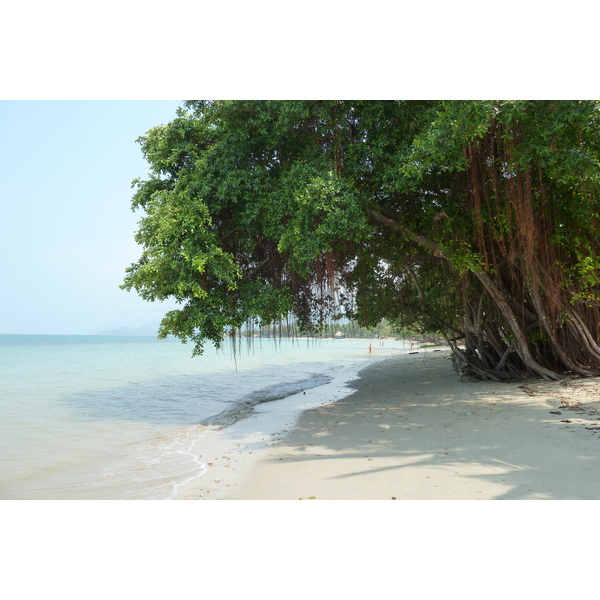 Picture Thailand Ko Chang Klong Prao beach 2011-02 89 - Center Klong Prao beach