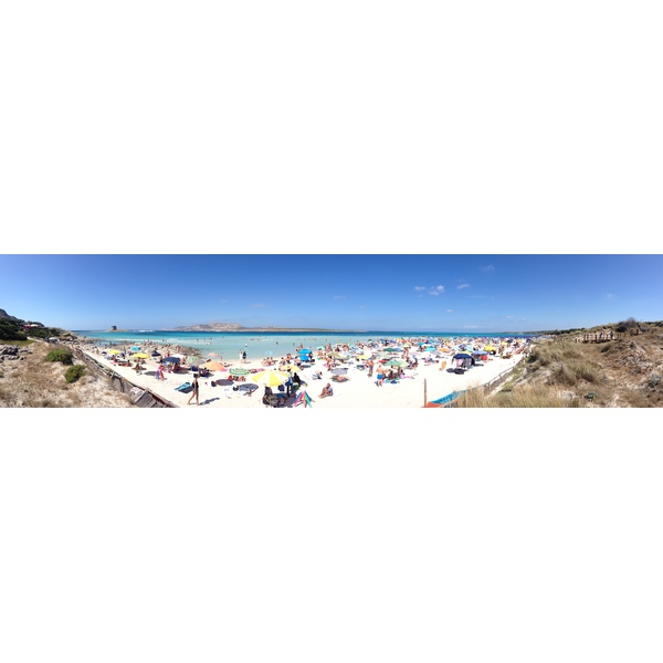 Picture Italy Sardinia Capo del Falcone 2015-06 10 - Recreation Capo del Falcone