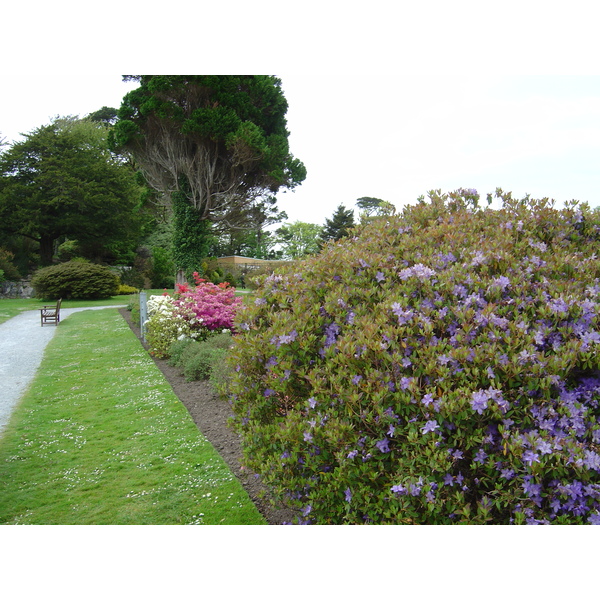 Picture Ireland Kerry Killarney National Park Muckross House 2004-05 6 - Around Muckross House