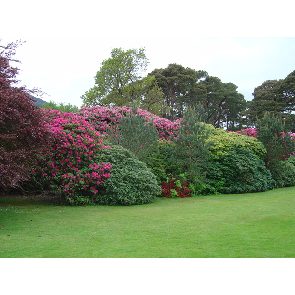 Picture Ireland Kerry Killarney National Park Muckross House 2004-05 9 - Journey Muckross House