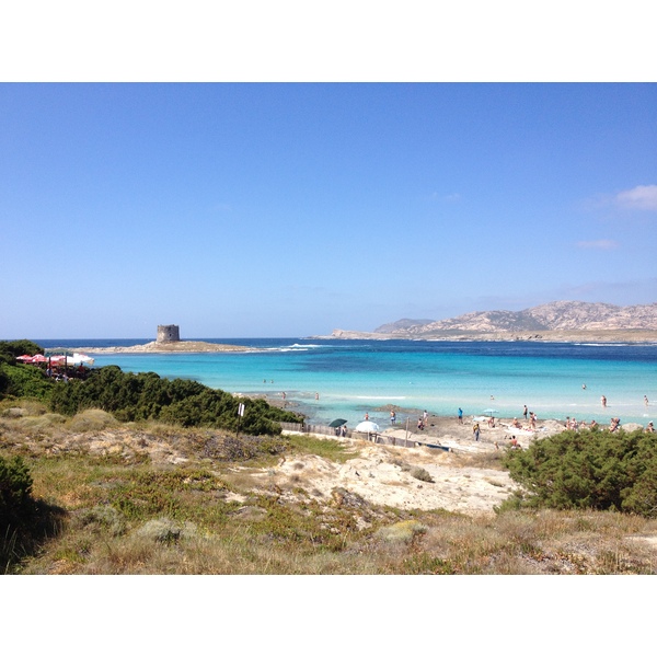 Picture Italy Sardinia Capo del Falcone 2015-06 5 - Around Capo del Falcone