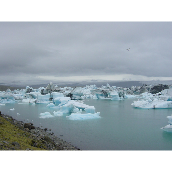 Picture Iceland Jokulsarlon 2003-06 42 - Center Jokulsarlon