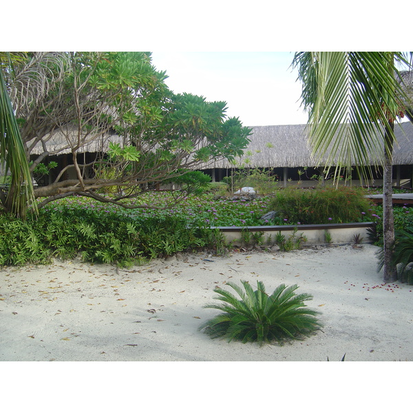 Picture Polynesia Meridien Bora Bora Hotel 2006-04 40 - Discovery Meridien Bora Bora Hotel