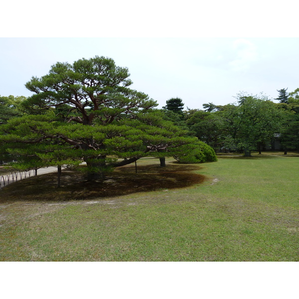 Picture Japan Kyoto Nijo Castle 2010-06 64 - Tour Nijo Castle