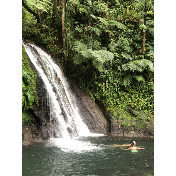 Picture Guadeloupe Cascade aux ecrevisses 2021-02 5 - Tour Cascade aux ecrevisses