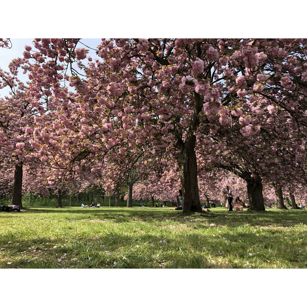 Picture France Parc de Sceaux 2019-04 67 - Recreation Parc de Sceaux