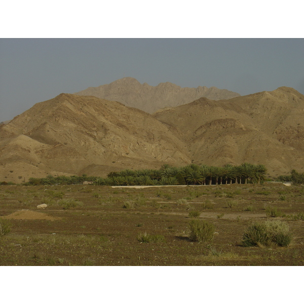 Picture Sultanate of Oman Buraimi to Mahada road 2005-03 42 - Tour Buraimi to Mahada road