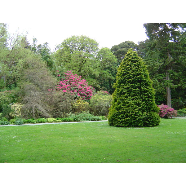 Picture Ireland Kerry Killarney National Park Muckross House 2004-05 39 - Around Muckross House