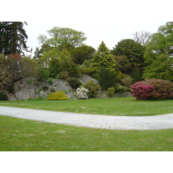 Picture Ireland Kerry Killarney National Park Muckross House 2004-05 7 - Around Muckross House