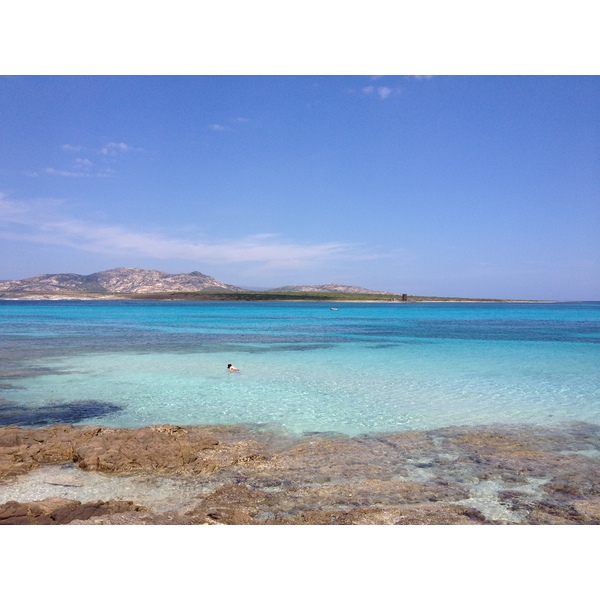 Picture Italy Sardinia Capo del Falcone 2015-06 6 - Discovery Capo del Falcone