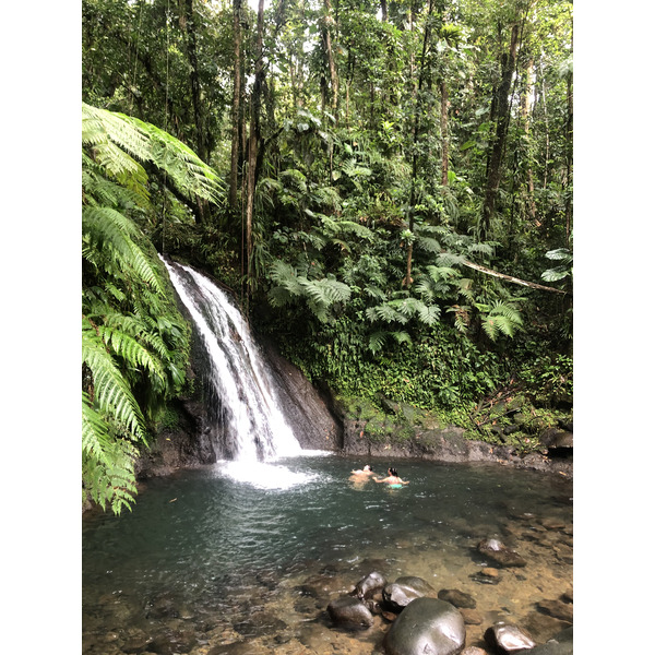 Picture Guadeloupe Cascade aux ecrevisses 2021-02 0 - Tour Cascade aux ecrevisses