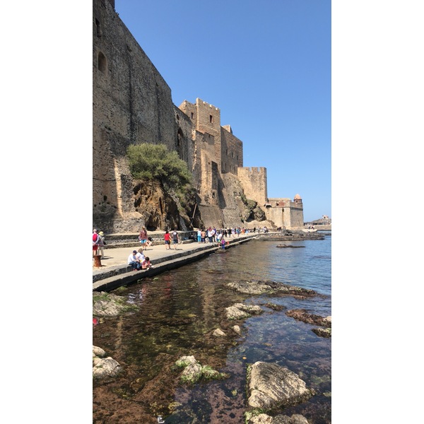 Picture France Collioure 2018-04 124 - Around Collioure