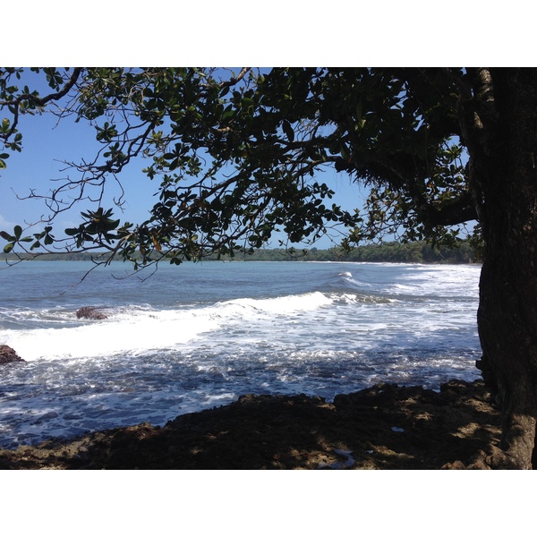 Picture Costa Rica Cahuita 2015-03 246 - Journey Cahuita