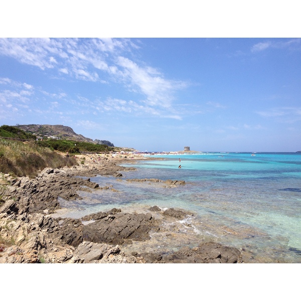 Picture Italy Sardinia Capo del Falcone 2015-06 28 - Recreation Capo del Falcone