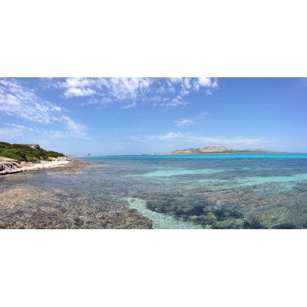 Picture Italy Sardinia Capo del Falcone 2015-06 65 - Center Capo del Falcone