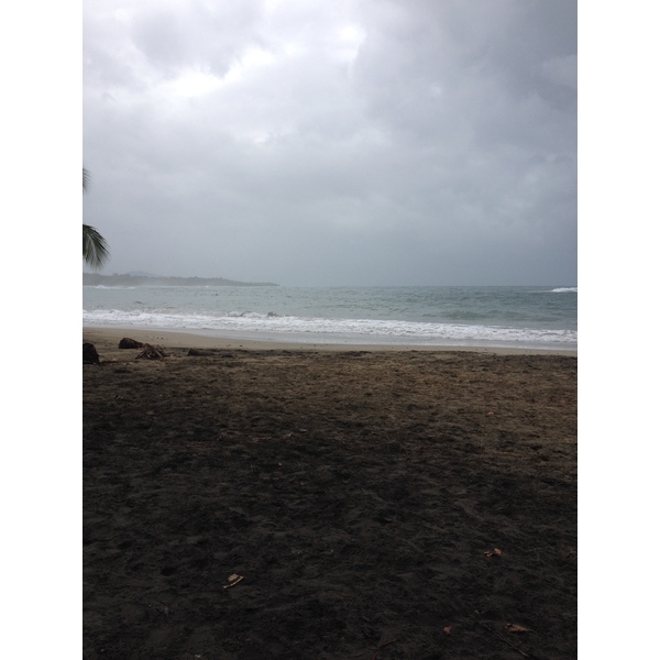 Picture Costa Rica Puerto Viejo de Talamanca 2015-03 64 - Tour Puerto Viejo de Talamanca