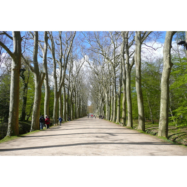 Picture France Chenonceau Castle Gardens of Chenonceau 2008-04 70 - History Gardens of Chenonceau