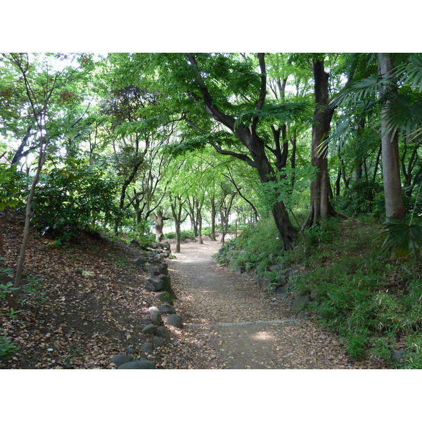 Picture Japan Tokyo Shiba Park 2010-06 7 - Recreation Shiba Park