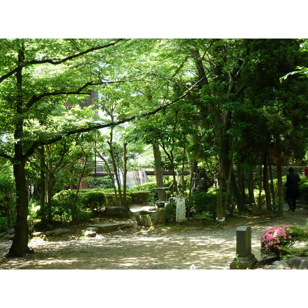 Picture Japan Tokyo Shiba Park 2010-06 11 - Tour Shiba Park