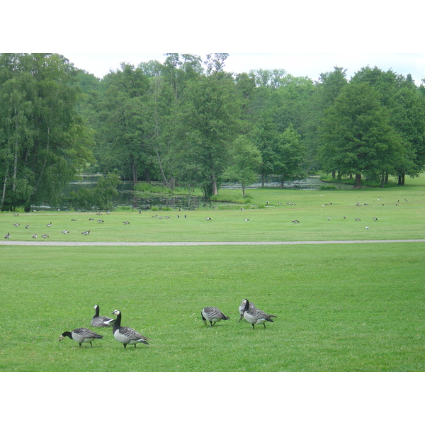 Picture Sweden Drottningholm 2005-06 7 - Journey Drottningholm