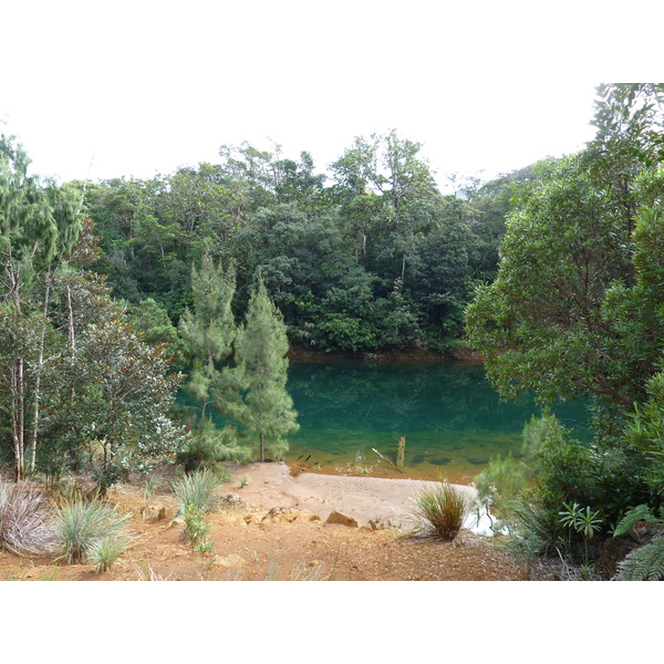 Picture New Caledonia Parc de la Riviere Bleue 2010-05 154 - Around Parc de la Riviere Bleue