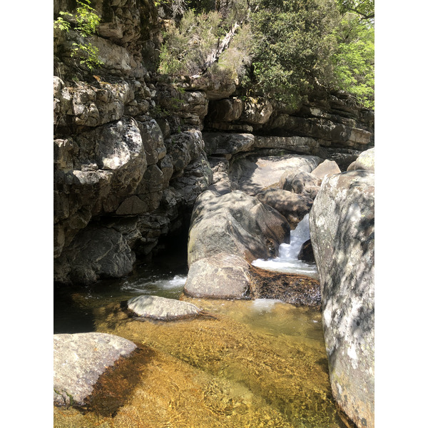 Picture France Corsica Aitone Forest 2021-06 5 - Around Aitone Forest