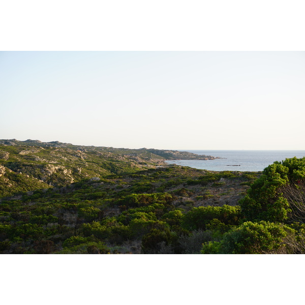 Picture France Corsica Tonnara Beach 2017-07 20 - Recreation Tonnara Beach