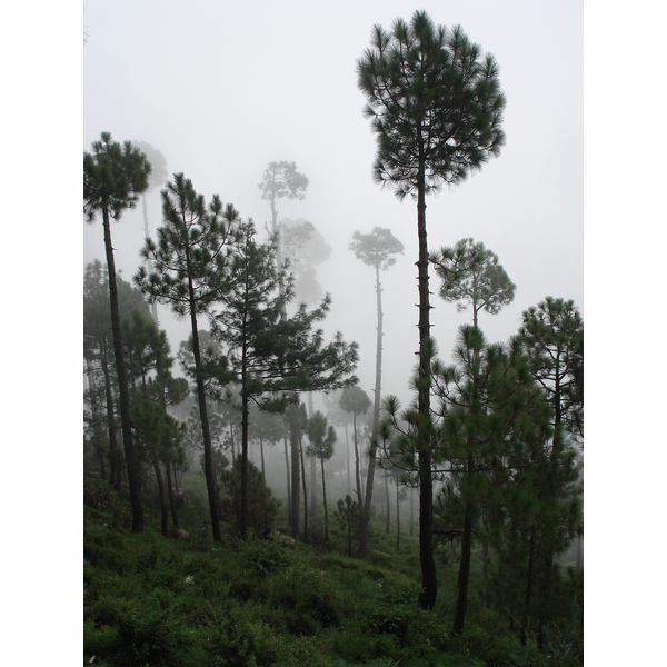 Picture Pakistan Murree 2006-08 39 - History Murree