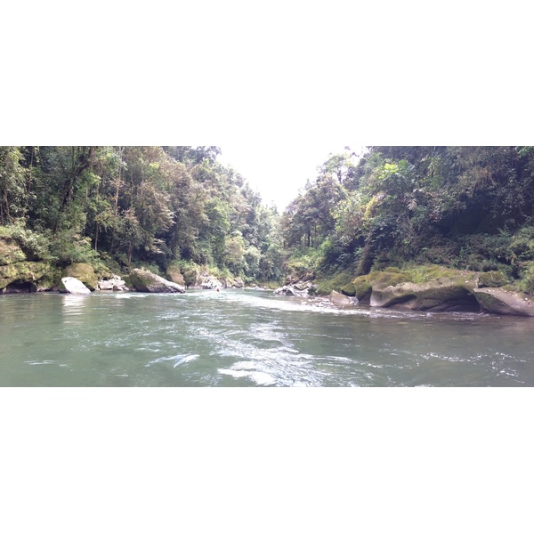 Picture Costa Rica Pacuare River 2015-03 165 - Tour Pacuare River