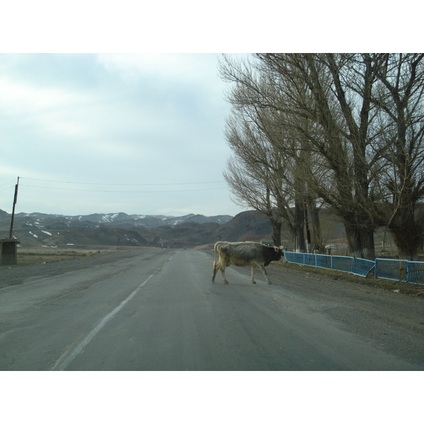 Picture Kazakhstan Almaty to Charyn Canyon road 2007-03 54 - Tours Almaty to Charyn Canyon road