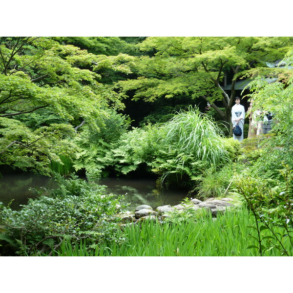 Picture Japan Tokyo Nezu Museum 2010-06 87 - Recreation Nezu Museum