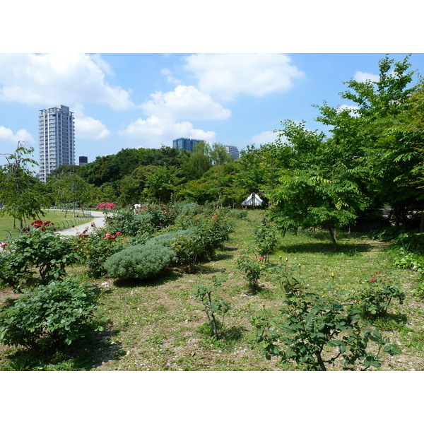 Picture Japan Tokyo Shiba Park 2010-06 27 - Center Shiba Park