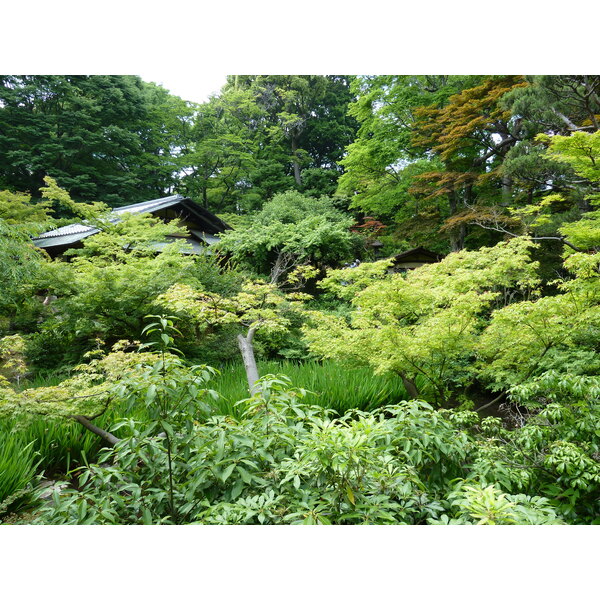 Picture Japan Tokyo Nezu Museum 2010-06 52 - Center Nezu Museum