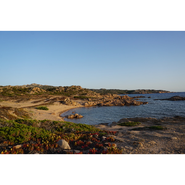 Picture France Corsica Tonnara Beach 2017-07 32 - Around Tonnara Beach