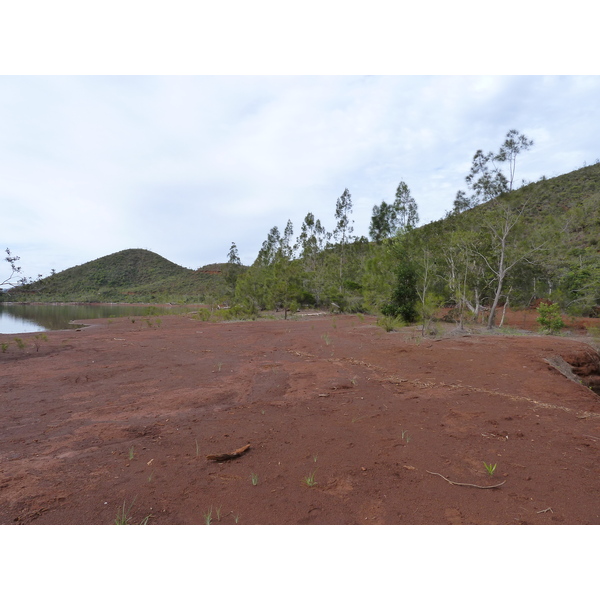 Picture New Caledonia Parc de la Riviere Bleue 2010-05 149 - Tour Parc de la Riviere Bleue